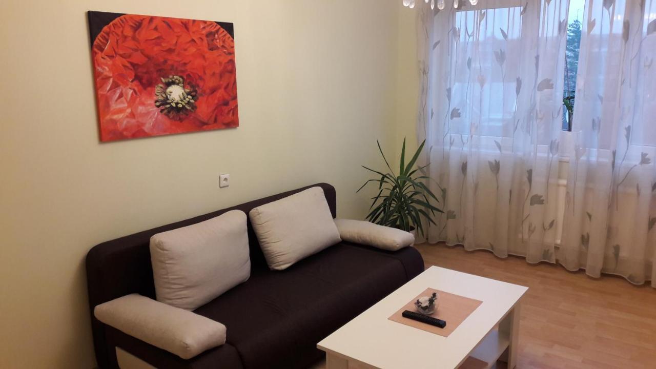 Grazinos Apartamentai Panevėžys Kültér fotó